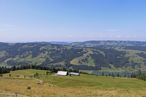 Blick auf Alpe Starkatsgund und den Großen Alpsee