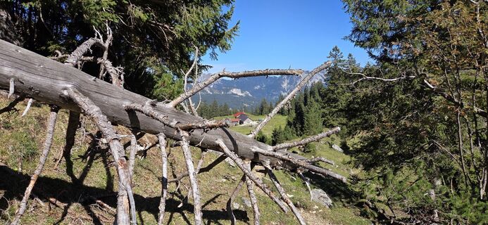 Foto von Rainer Kroschwald entlang der Tour