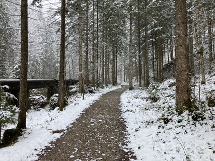 Fotografie z Vladi na trase