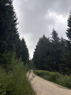Foto von Heinz Sperl entlang der Tour