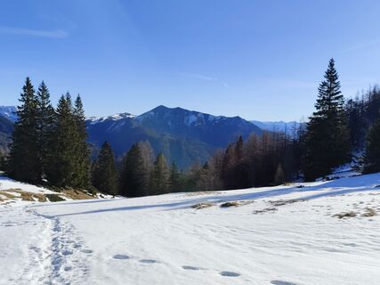 Fotografija s spletne strani Margit Leitner 1 na poti