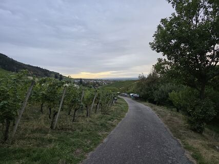 Fotografija s spletne strani W B MA na poti