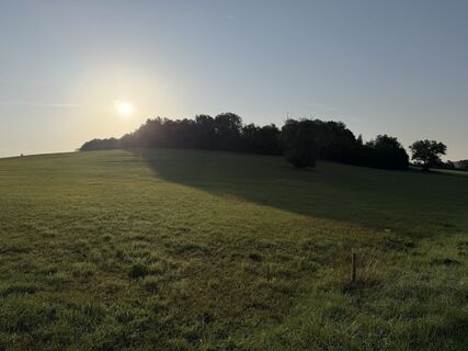 Fotografia z Schaali na trase