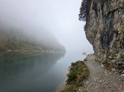 Photo de MRDL le long du parcours