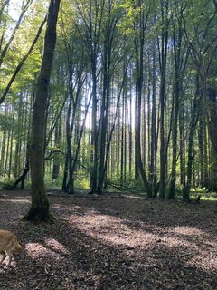 Fotografija s spletne strani Dagmar Gaertner na poti