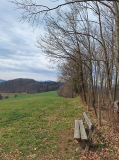 Fotografie z Mimi na trase