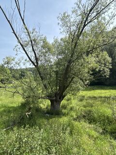 Foto de Robert Christiaans a lo largo del recorrido
