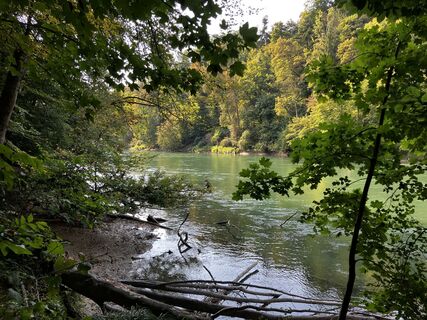 Foto da Martin Würsch lungo il tour