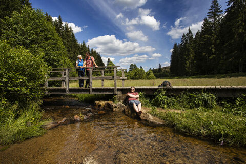 Brücke im Schwarzbachtal