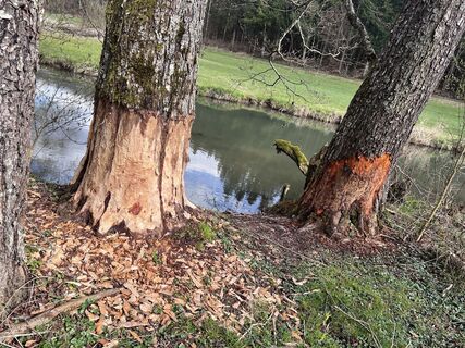 Fotografija s spletne strani Eike Held na poti