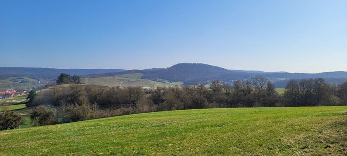 Fotografia z Frank Kämmerer na trase