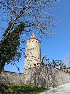 Fotografia z G. Jaquet na trase