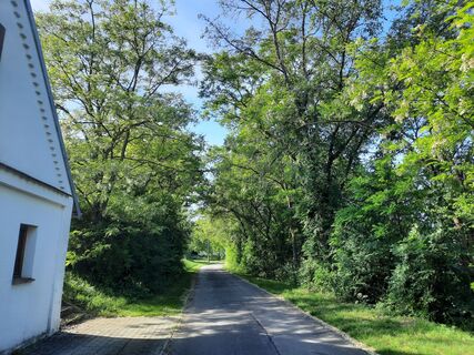 Beginn Kellergasse Gaubitsch