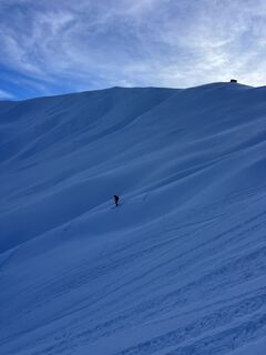 Fotografija s spletne strani Heikoala na poti