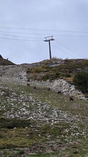 Photo de Jennifer Herbst le long du parcours