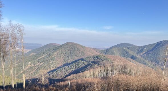 Fotografija s spletne strani Naturepur na poti