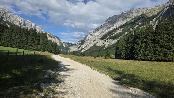 Photo de King Whisky le long du parcours