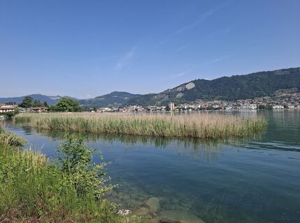 Foto von hawiwandern entlang der Tour