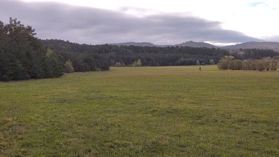 Photo de Noreen Harz le long du parcours