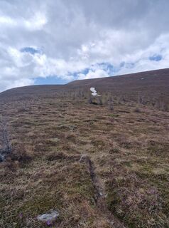 Fotografia z Michael Forstner na trase