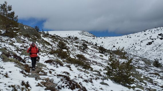 Foto fra sagal underveis på turen