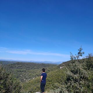Landschaft