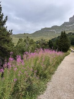 Foto von Martine 4 entlang der Tour