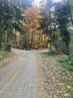 Fotografia z Thomas Gogl na trase