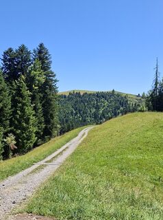 Foto von Urs Schelbert entlang der Tour