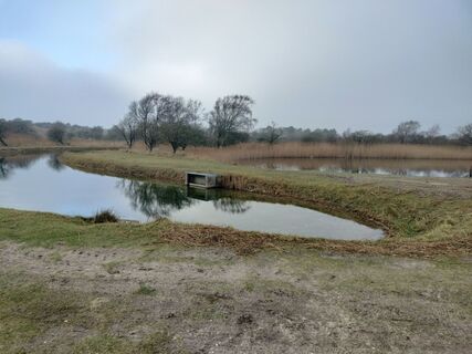 Zdjęcie z Arend Derksen wzdłuż trasy