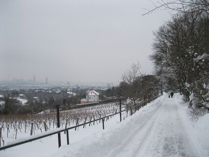 Grinzing-Hermannskogel-Neustift am Walde