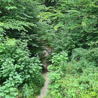 Weg zum Mordloch