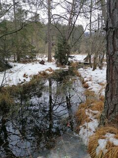 Fotografia z Dagmar Hofer na trase