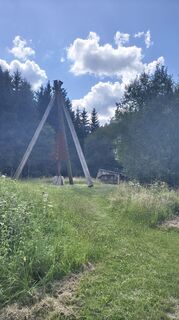 Foto von Sauerpurzel entlang der Tour