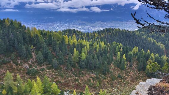Foto von Ursula Schmid entlang der Tour