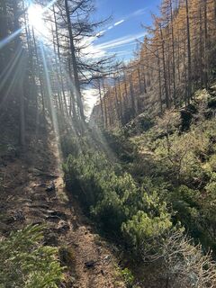 Fotografia z Carola Krems na trase
