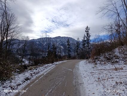 Foto von Melanie Rapperstorfer 1 entlang der Tour