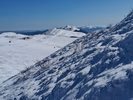 Foto de Jan Wojciechowski 1 a lo largo del recorrido