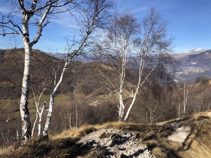 Fotografia z Gerardo Brunetti na trase
