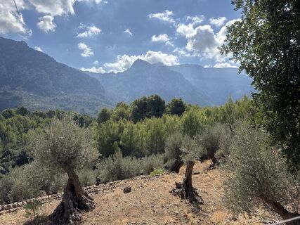 Foto von Grizzli entlang der Tour