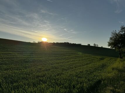 Foto von Schaali entlang der Tour
