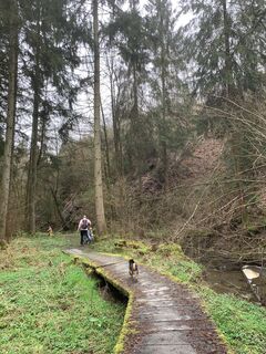 Photo from vieletausendkilometer along the tour