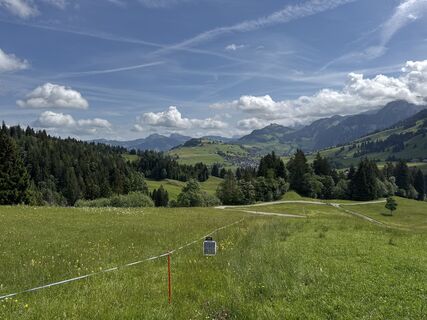 Foto von C G 16 entlang der Tour