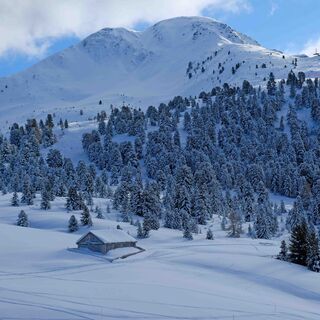 Schwarzhorn
