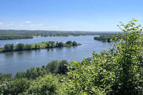 Foto de Gloop a lo largo del recorrido