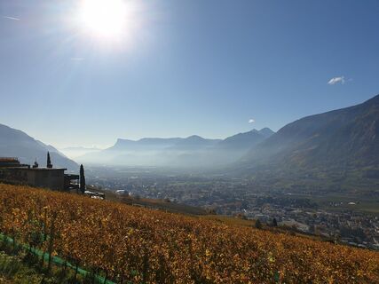 Foto von Moscho entlang der Tour