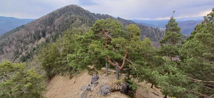Fotografia z Bergfex Cros na trase