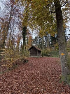 Fotó a ManCam honlapról a túra során