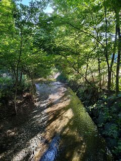 Foto de Poschacher a lo largo del recorrido