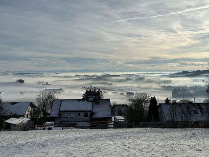 Foto von Babs Holz entlang der Tour